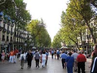 Get your bearings by walking down the lively Las Ramblas.
