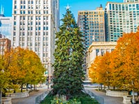 A giant christmas tree in Chicago's Millennium Park