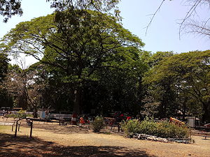 Empress Botanical Garden in Pune, India