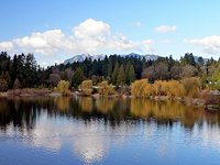 Vancouver's Stanley Park Lagoon (© Craig Nagy, distributed under a CCASA 2.0 Generic licence).